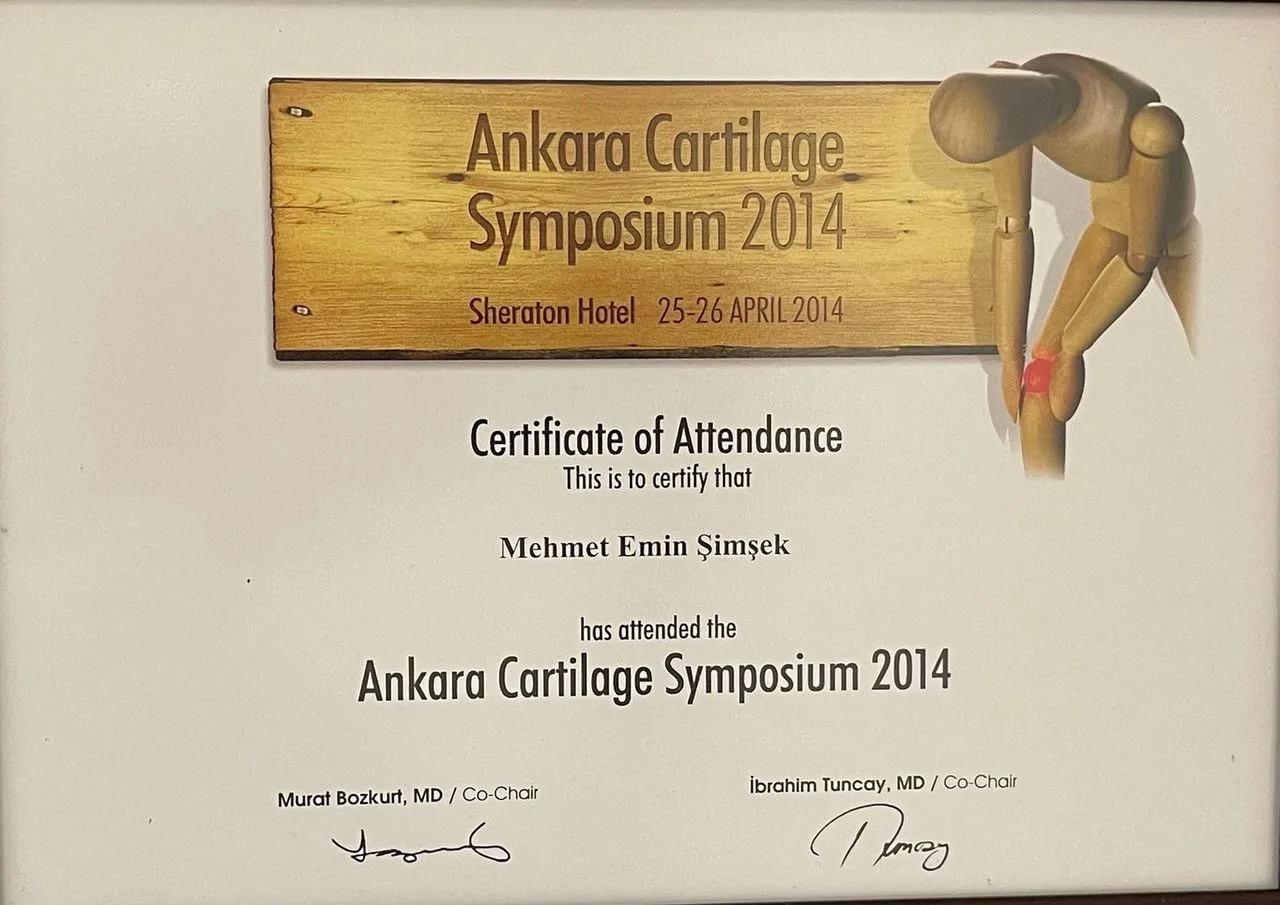 Ankara Cartilage Symposium 2014 katılım belgesi, 25-26 Nisan 2014.